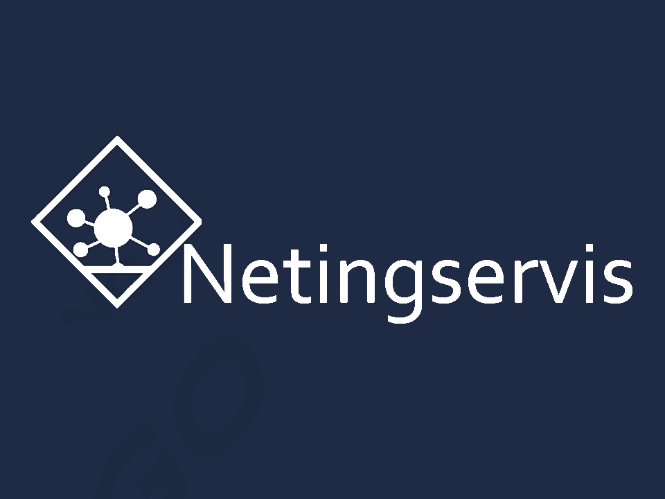 NETINGSERVIS S.L. 