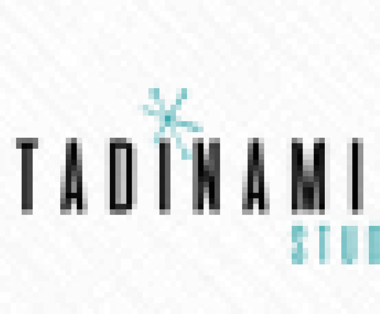 PEPITA DINAMITA STUDIOS, S. COOP. AND.