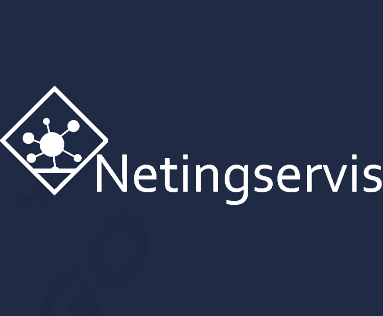 NETINGSERVIS S.L. 