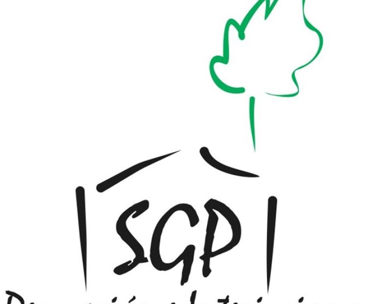 SGP DECORACIÓN E INTERIORISMO